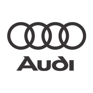 Audi SQ8 Touch Up Paint