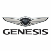 Genesis Touch Up Paint