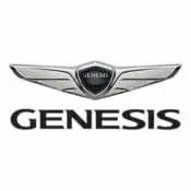 Genesis Touch Up Paint