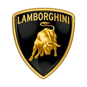 Lamborghini Touch Up Paint