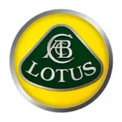 Lotus Touch Up Paint