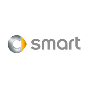 Smart Fortwo Touch Up Paint