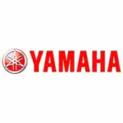 Yamaha Snowmobile Touch Up Paint
