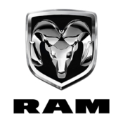 RAM Touch Up Paint