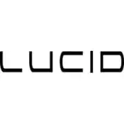 Lucid Touch Up Paint
